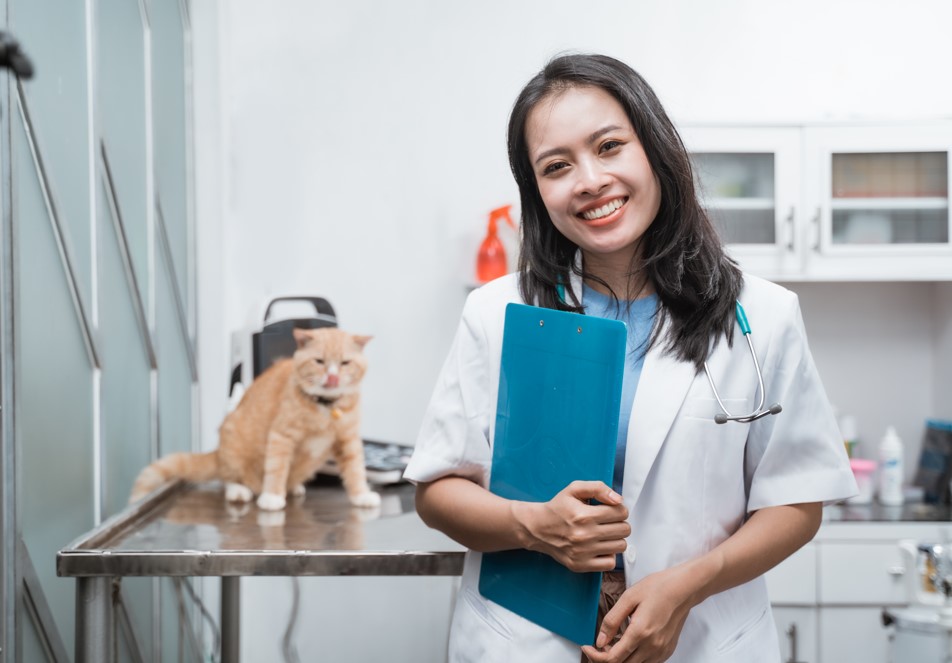 Curso de auxiliar de veterinário on-line com módulos voltados para UTI veterinária Com o avanço da tecnologia e a crescente demanda por cuidados veterinários de qualidade, a capacitação de profissionais na área é essencial. Sendo assim, o curso de auxiliar de veterinário on-line com módulos voltados para UTI veterinária é uma ótima oportunidade para aqueles que desejam se destacar no mercado. Afinal, tem curso para auxiliar de veterinário? Sim, existe curso técnico de auxiliar de veterinário. Inclusive, essa especialização pode acelerar seus planos de transformar a paixão por animais em profissão. O curso é direcionado a atender às demandas operacionais do mercado veterinário e tem curta duração. Isso permite que o aluno comece a ganhar experiência profissional, além de facilitar a vida de quem planeja prosseguir nos estudos e progredir na carreira. O que precisa ter para ser auxiliar veterinário? Para se tornar um auxiliar veterinário, é preciso fazer um curso específico ou técnico em veterinária. A partir daí, o aluno deve buscar oportunidades na área. Contudo, vale ressaltar que é necessário ter um registro profissional junto ao Conselho Regional de Medicina Veterinária. Sendo assim, antes de iniciar seus estudos, é imprescindível entrar em contato com a instituição de ensino para entender se ela é credenciada e se o curso te permite o registro. O que é o curso de auxiliar veterinário? O auxiliar de veterinária está ganhando cada vez mais espaço dentro da medicina veterinária, sendo fundamental para o bom funcionamento de qualquer unidade de trabalho. O curso auxiliar de veterinária tem como objetivo ampliar o conhecimento da área veterinária com aperfeiçoamento de técnicas profissionais e interpessoais. A especialização da Ufape Intercursos tem como foco principal formar profissionais aptos para atuarem dentro do ambiente hospitalar, tanto no centro cirúrgico, internação e na sala de emergência, tendo como diferencial módulos avançados voltados para UTI veterinária. Curso de auxiliar de veterinário online é na Ufape Intercursos A Ufape Intercursos trabalha com uma medicina translacional, que visa estabelecer a conexão entre a criação e a aplicação do conhecimento, integrando pesquisadores das áreas básica e clínica para uma melhor assistência à população. Nossas aulas teóricas serão on-line com os maiores nomes da medicina veterinária do mundo e ficam gravadas. Assim, você pode estudar no seu tempo. Além disso, disponibilizamos artigos e publicações relevantes relacionadas a sua área de estudo. 