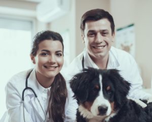 Veterinário clínico: áreas de atuação e cursos importantes O veterinário clínico desempenha um papel fundamental na medicina veterinária, atuando na prevenção, diagnóstico e tratamento de diversas doenças que podem afetar os animais. Entretanto, após concluir a formação tradicional para se tornar um veterinário clínico, muitos profissionais vão em busca de se capacitar e se especializar em determinados segmentos de interesse, desejando adquirir novos conhecimentos e certificações. O que é um veterinário clínico? O veterinário clínico é o profissional mais tradicional na medicina veterinária. É responsável por trabalhar com animais de pequeno e médio porte, ou seja, se você tem um pet, certamente, já fez uma visita a este especialista. Logo, suas funções diárias podem variar de acordo com o paciente. Assim, o veterinário clínico pode tratar feridas, diagnosticar doenças, realizar intervenções cirúrgicas, administrar vacinas, prescrever medicamentos, entre outras tarefas. Aliás, alguns animais tratados por este especialista são: cachorros, gatos, pássaros, cavalos, coelhos, hamster, tartarugas, cobras e muitos outros. Quais são os tipos de veterinária? Os veterinários podem ser profissionais autônomos ou contratados por clínicas e hospitais veterinários, agências governamentais, instituições educacionais, grupos de manejo da vida selvagem, zoológicos, fazendas, empresas agrícolas ou farmacêuticas. Cursos e pós-graduação para veterinário clínico é na UFAPE Intercursos A UFAPE INTERCURSOS trabalha com uma medicina translacional, que visa estabelecer a conexão entre a criação e a aplicação do conhecimento, integrando pesquisadores das áreas básica e clínica para uma melhor assistência à população. Nossas aulas teóricas serão online com os maiores nomes da medicina veterinária do mundo e ficam gravadas. Assim, você pode estudar no seu tempo. Além disso, disponibilizamos artigos e publicações relevantes relacionadas a sua área de estudo.