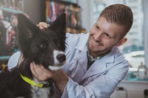 Dermatologia veterinária: especialização importante para se destacar no mercado A elevada quantidade de casos relacionados às condições dermatológicas em pets, tornou o serviço de dermatologia veterinária uma realidade cada vez mais comum em clínicas e hospitais veterinários, visto que os problemas de pele podem acontecer por diversas razões e causas. Dessa forma, um dermatologista veterinário é o profissional mais indicado para diagnosticar e tratar as doenças dermatológicas. Ficou interessado e deseja entender mais sobre o tema? Então, acompanhe o conteúdo e fique por dentro sobre como tal especialidade é responsável por promover a excelência profissional, além de atender às necessidades crescentes do mercado. Confira!