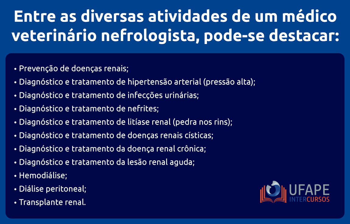 Entre as diversas atividades de um médico veterinário nefrologista, pode-se destacar: Prevenção de doenças renais; Diagnóstico e tratamento de hipertensão arterial (pressão alta); Diagnóstico e tratamento de infecções urinárias; Diagnóstico e tratamento de nefrites; Diagnóstico e tratamento de litíase renal (pedra nos rins); Diagnóstico e tratamento de doenças renais císticas; Diagnóstico e tratamento da doença renal crônica; Diagnóstico e tratamento da lesão renal aguda; Hemodiálise; Diálise peritoneal; Transplante renal.