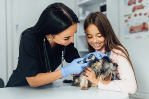 Se você é um profissional apaixonado pelo cuidado e bem-estar dos animais, sabe que a especialização veterinária é uma porta de entrada para o aprimoramento de habilidades específicas e o enriquecimento do seu currículo. Afinal, essa área é vasta e está em constante evolução. Com isso, manter-se atualizado e buscar formas de aprimoramento é essencial para se destacar nesse mercado competitivo. Se você deseja impulsionar a sua carreira profissional, continue lendo este post da Ufape Intercursos e conheça a importância dos cursos de especialização em medicina veterinária. Acompanhe a leitura!