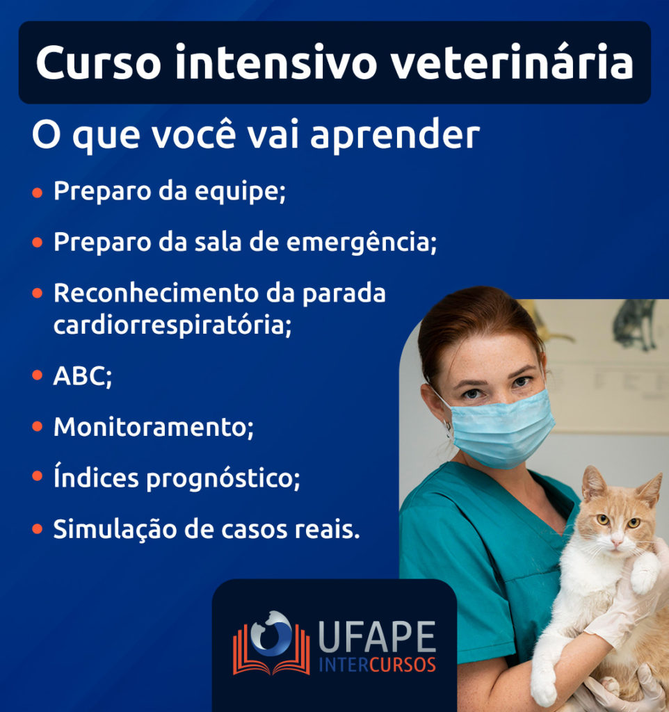 Em relação ao conteúdo ministrado, durante as aulas é possível entender um pouco mais sobre: Preparo da equipe; Preparo da sala de emergência; Reconhecimento da parada cardiorrespiratória; ABC; Monitoramento; Índices prognóstico; Simulação de casos reais.