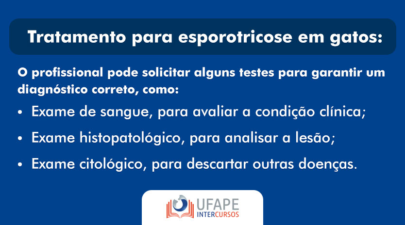 Tratamento para esporotricose em gatos: como diagnosticar o problema? O profissional pode solicitar alguns testes para garantir um diagnóstico correto, como: Exame de sangue, para avaliar a condição clínica; Exame histopatológico, para analisar a lesão; Exame citológico, para descartar outras doenças.