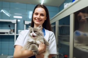 Mulher, auxiliar de veterinário, com um gato em mãos e se questionando acerca de “Quanto ganha um auxiliar de veterinário?”.